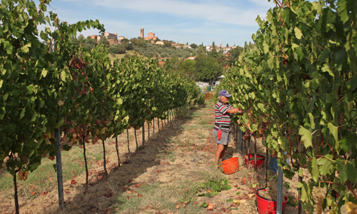 Prodotti locali e di qualità Prodotti locali e di qualità