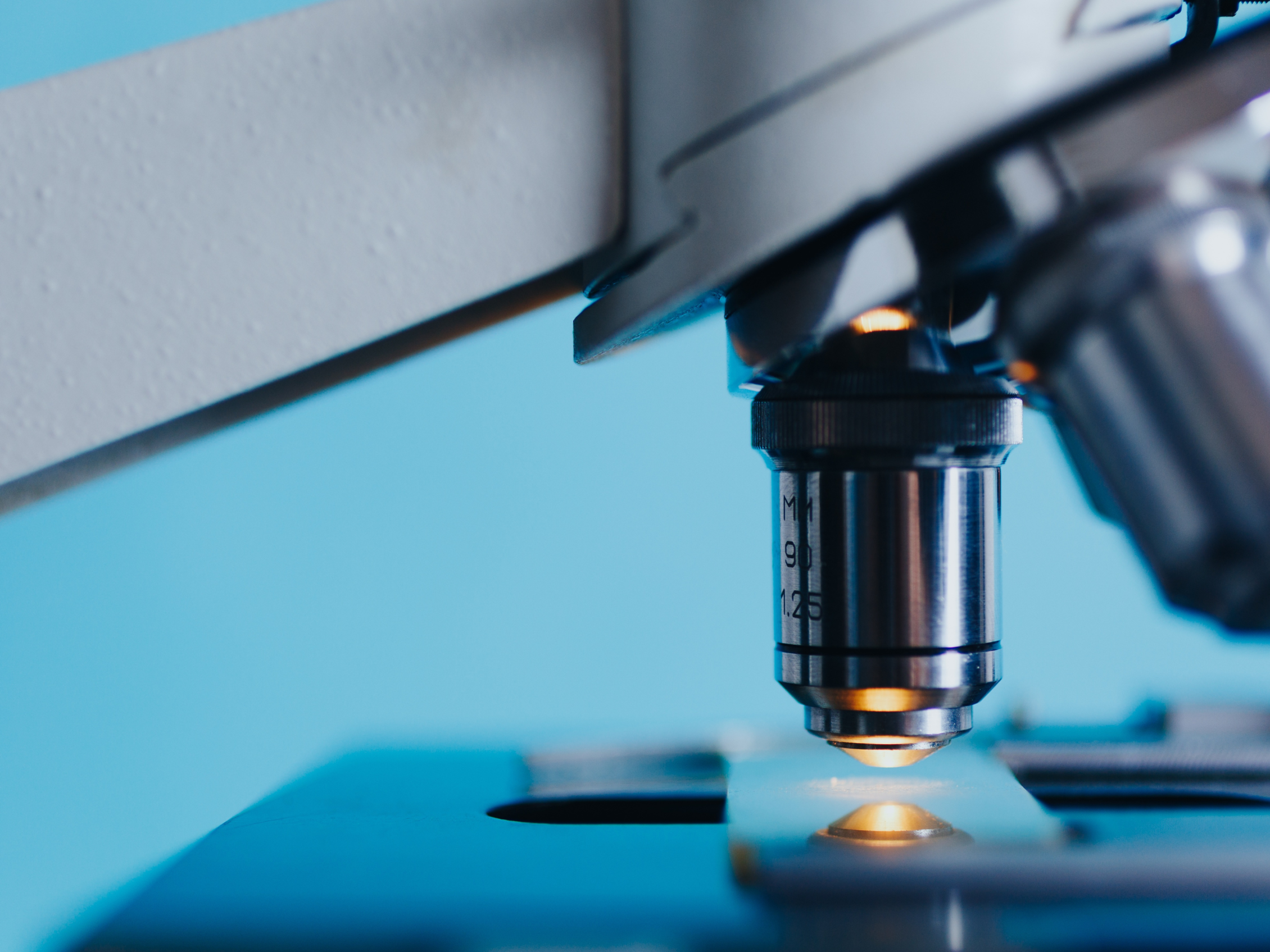 microscopio controllo alimentare microscopio controllo alimentare