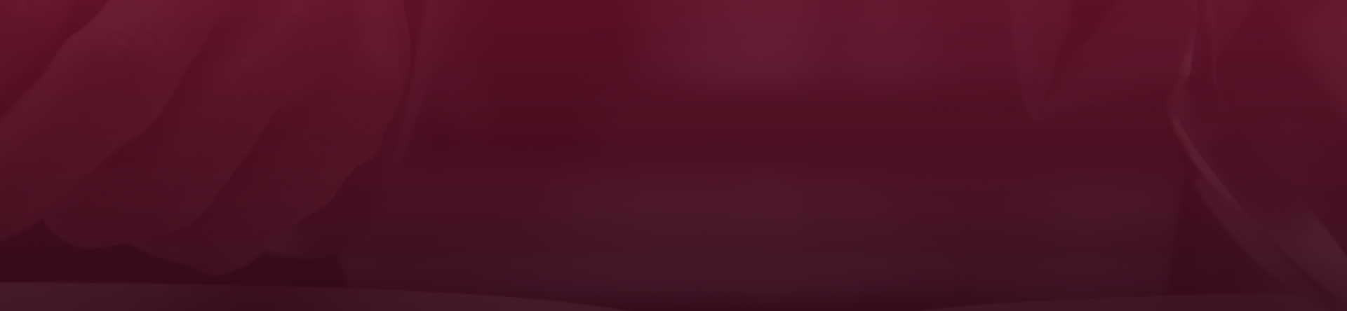 hero banner vision