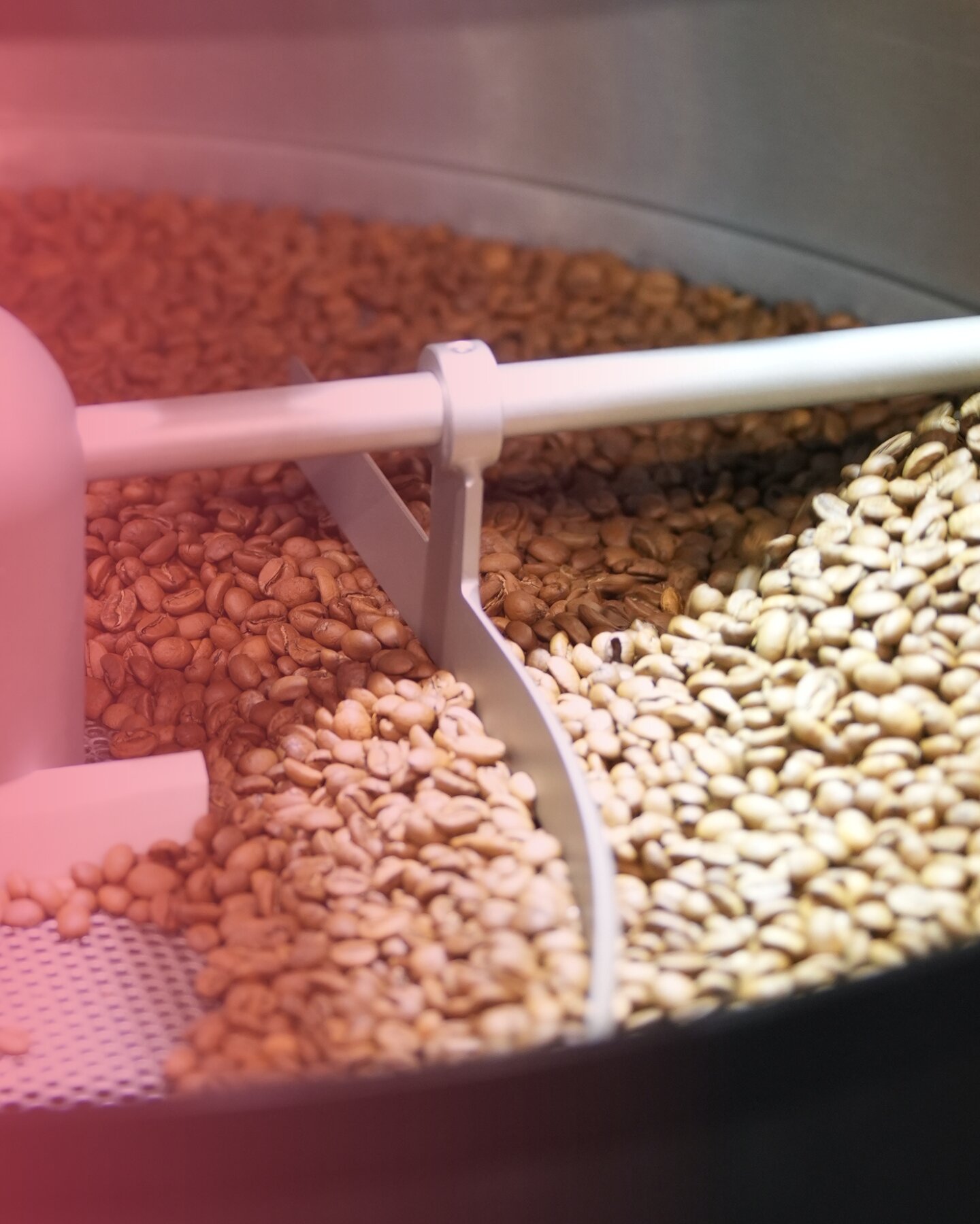 Micro Roaster Village: discover the area