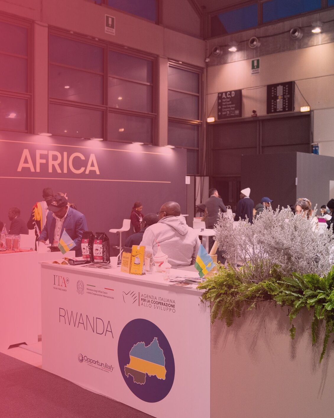 The International Pavilion
