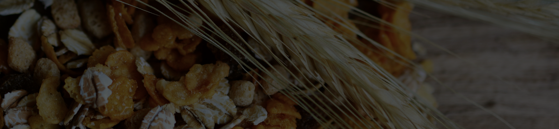 Bakery 2027: fibre e cereali integrali oltre le proteine 