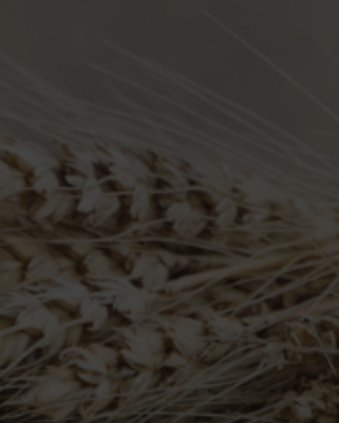 Header giornata ristorazione