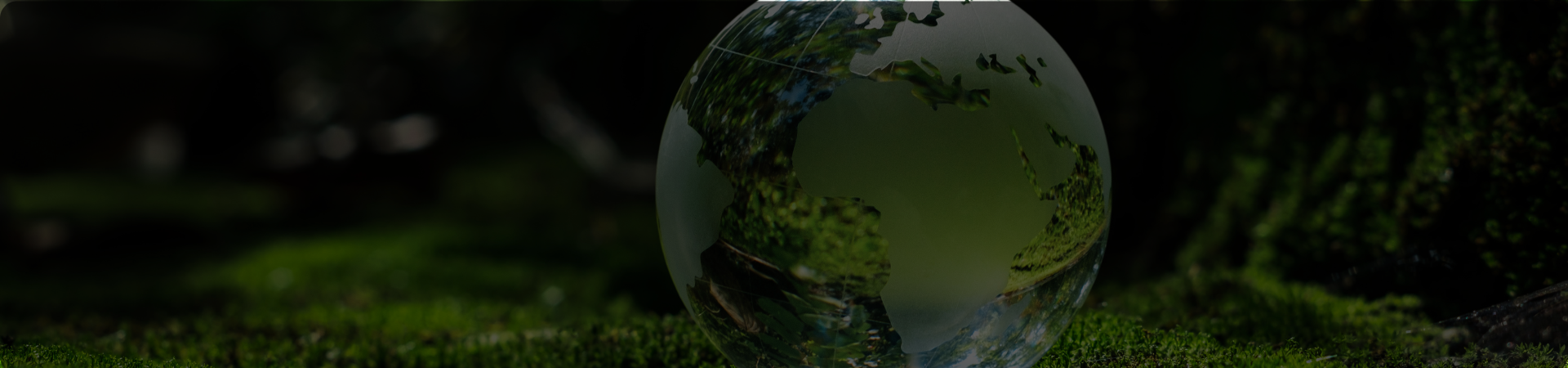Turning air into food: is carbon capture the future? Turning air into food: is carbon capture the future?