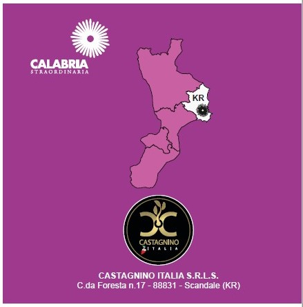Succhi 100% di Frutta  Calabrese