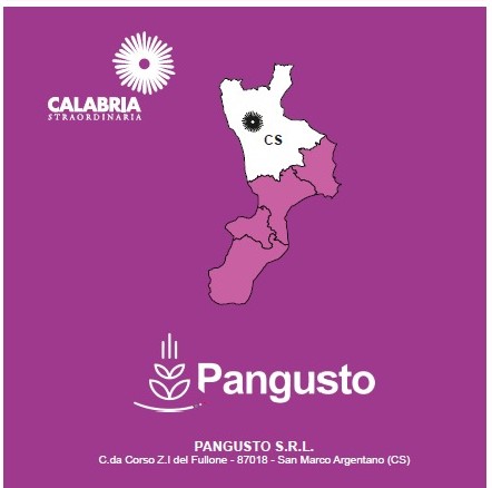 Pane,Pizza e Stizza : i lievitati italiani in stile calabrese